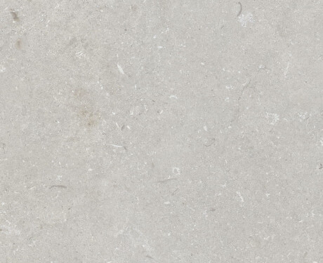 Podlahová dlažba 60 × 120 cm, světle šedá, matná, A4H1093 Shellstone Bianco