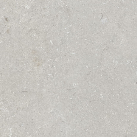 Podlahová dlažba 60 × 120 cm, světle šedá, matná, A4H1093 Shellstone Bianco #1
