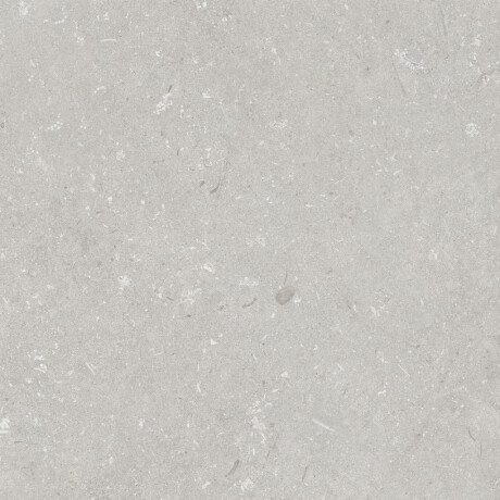 Podlahová dlažba 60 × 120 cm, světle šedá, matná, A4H1093 Shellstone Bianco #2