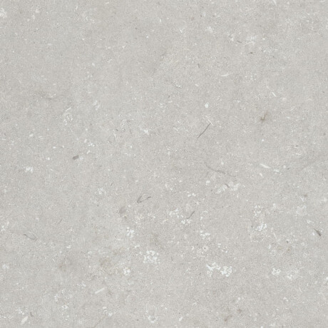 Podlahová dlažba 60 × 120 cm, světle šedá, matná, A4H1093 Shellstone Bianco #3