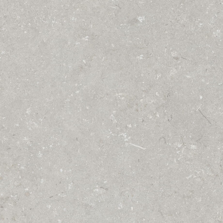 Podlahová dlažba 60 × 120 cm, světle šedá, matná, A4H1093 Shellstone Bianco #4