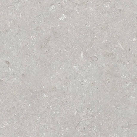 Podlahová dlažba 60 × 120 cm, světle šedá, matná, A4H1093 Shellstone Bianco #5