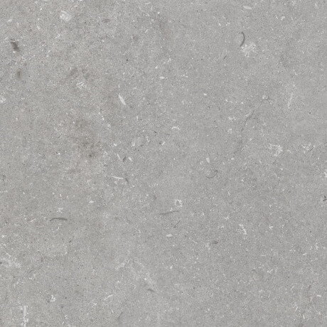 Podlahová dlažba 60 × 120 cm, šedá matná, A4H1096 Shellstone Grigio #4