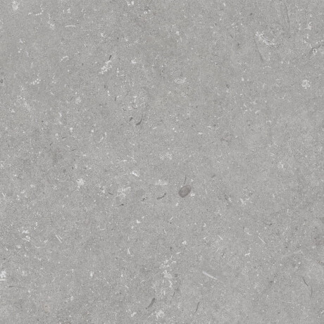 Podlahová dlažba 60 × 120 cm, šedá matná, A4H1096 Shellstone Grigio #5