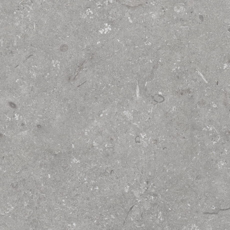 Podlahová dlažba 60 × 120 cm, šedá matná, A4H1096 Shellstone Grigio #8