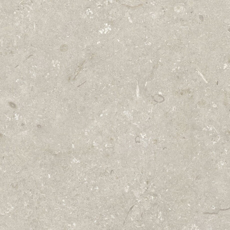 Podlahová dlažba 60 × 120 cm, béžová matná, A4H1099 Shellstone Beige #7