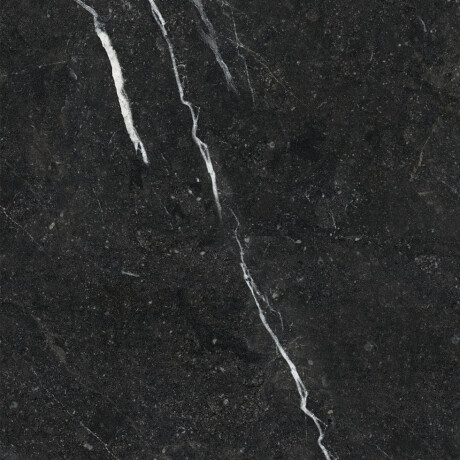 Glazovaná dlažba 60x120 se zlatou žilkou, matná, rektifikovaná, A4H110 Pierre Black #23