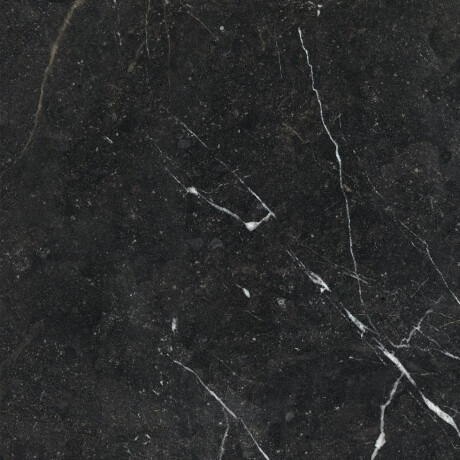 Glazovaná dlažba 60x120 se zlatou žilkou, matná, rektifikovaná, A4H110 Pierre Black #26
