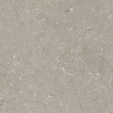 Podlahová dlažba 60 x 120 cm, taupe, matná, A4H1102 Shellstone Taupe #4