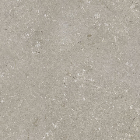 Podlahová dlažba 60 x 120 cm, taupe, matná, A4H1102 Shellstone Taupe #5