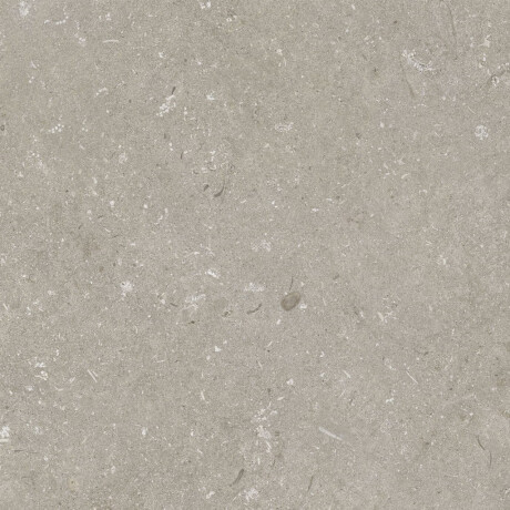 Podlahová dlažba 60 x 120 cm, taupe, matná, A4H1102 Shellstone Taupe #7