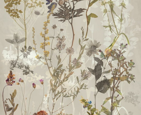 Stěnová keramická dlažba 60 × 120 cm, šedá s květinovými vzory, matná, A4H919 Glame